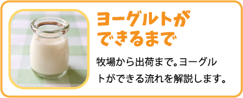 ヨーグルトができるまで